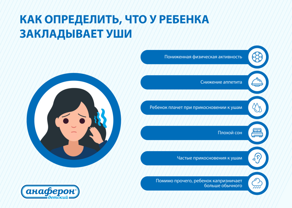 инфографика_уши.jpg