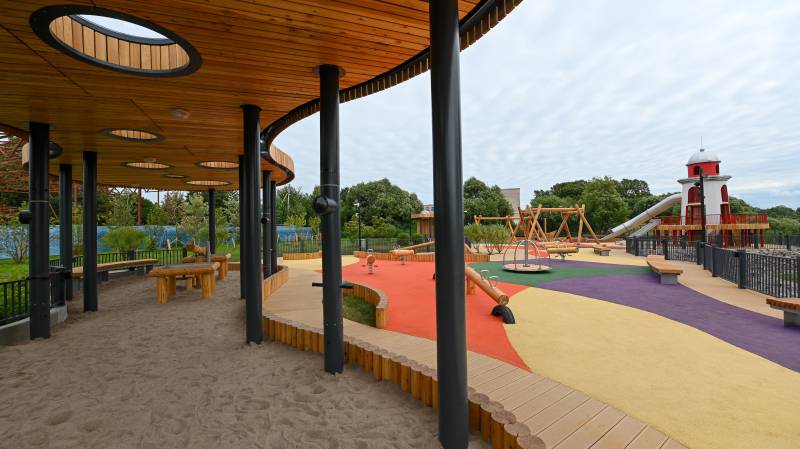 Проект кронштадт ксения шойгу