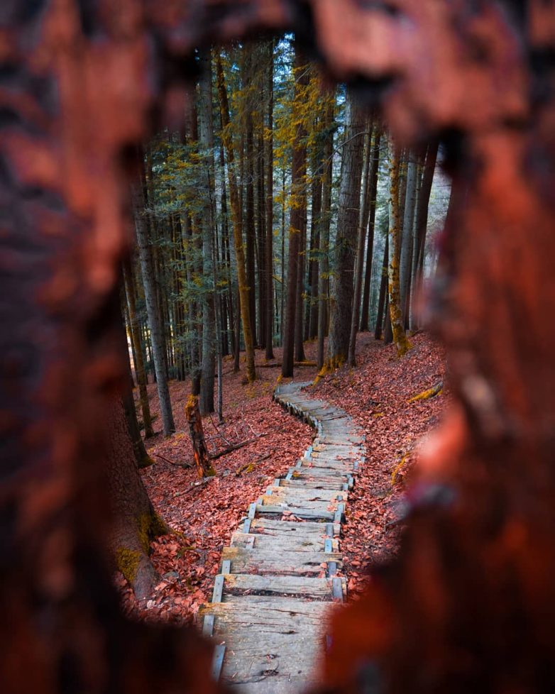 Швейцария, которая поражает с первого взгляда Швейцария, которая поражает с первого взгляда путешествие,Фотография,Швейцария