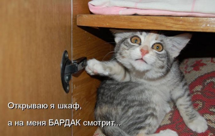 Мысли вслух :)