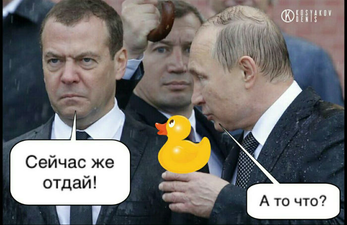 Картинки по запросу Медведев под дождем