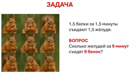 Эту занимательную задачку про белочек школьники решают на раз-два. А вы сможете?