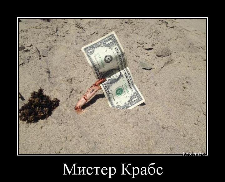 Забавные демотиваторы для хорошего настроения (12 фото)