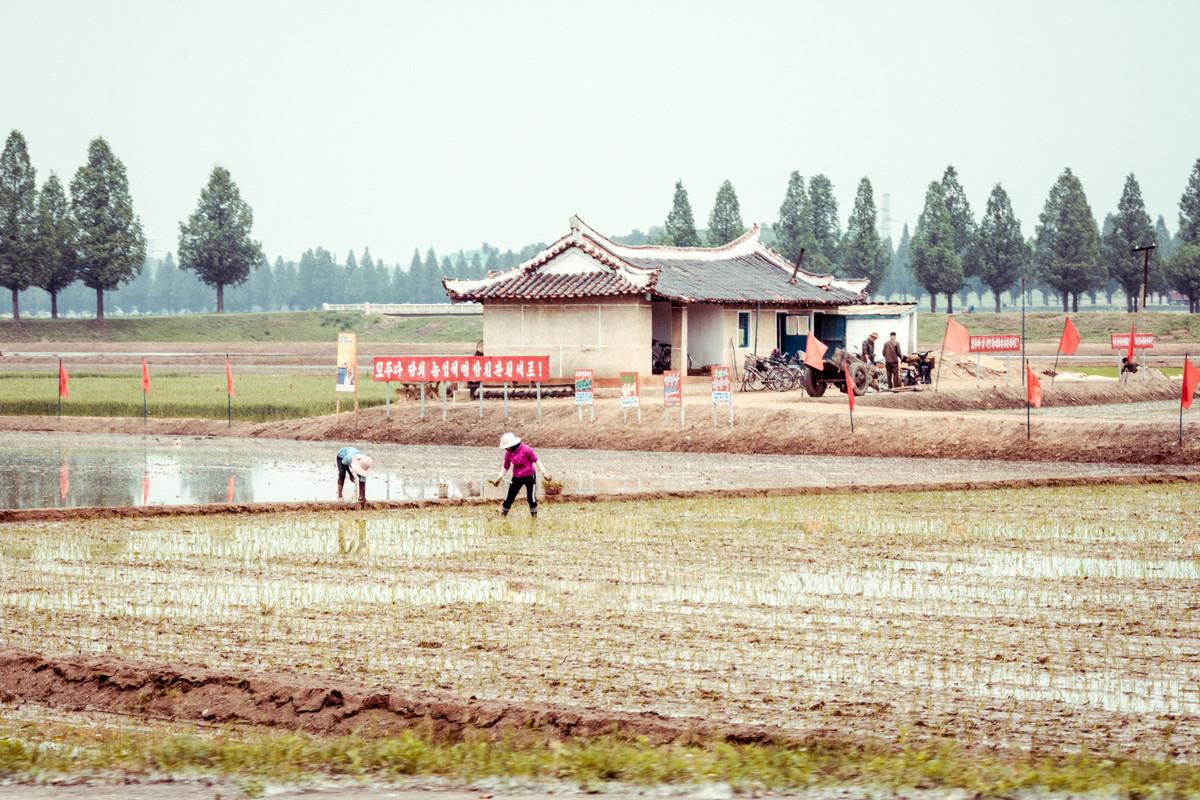 «Чосон» Дениса Давыденко: объективная нереальность из Северной Кореи «Чосон» Дениса Давыденко: объективная нереальность из Северной Кореи