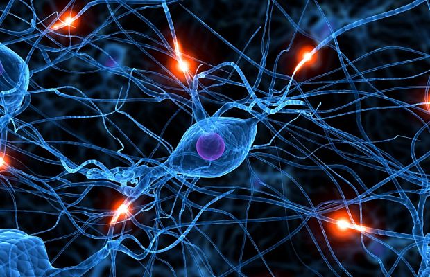 10 важнейших исследований в области психологии и нейробиологии