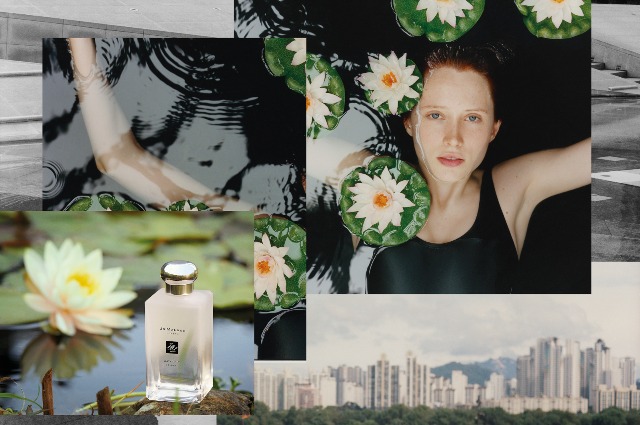 Wanted: летняя коллекция ароматов Blossoms Collection, Jo Malone London Новости красоты