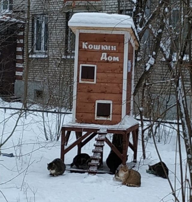 Подборка смешных картинок Подборка смешных картинок смешные картинки