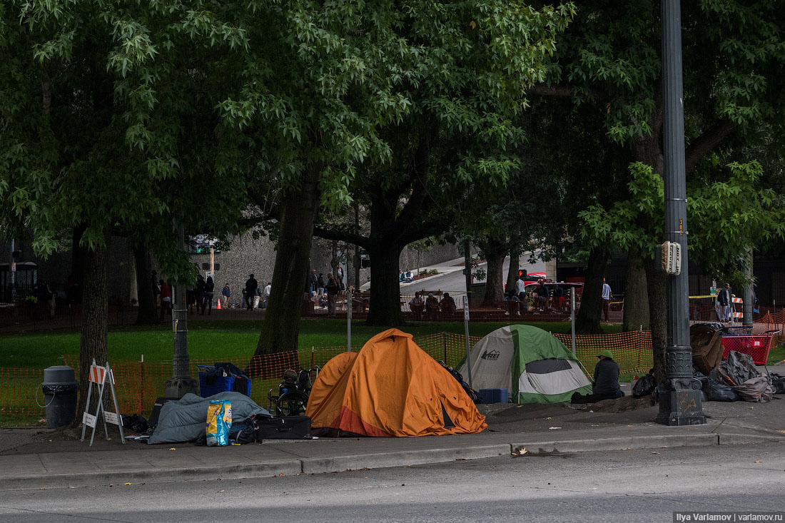 Страна бомжей. Сиэтл бездомные США. Сиэтл городской парк бомжи. Палатки на улицах США.