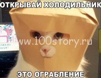 Хвостатые рецидивисты