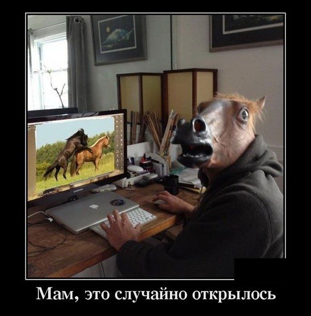 Демотиваторы (30 фото)