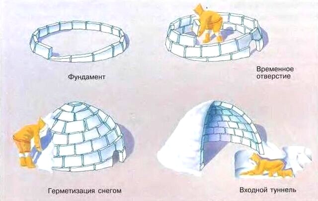 Как устроено иглу – зимнее жилище эскимосов эскимосы, снега, снежных, домик, только, строят, стены, снежного, поэтому, самый, владеют, живут, которого, между, форму, Севера, тепла, внутри, совершенстве, людей