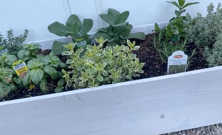 Самый молодой миллиардер мира Кайли Дженнер открыла для себя радости огородничества: "Всегда хотела это попробовать" Звезды,Новости о звездах