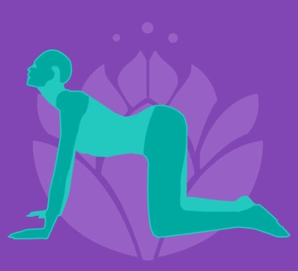 ��� ���������� �� ����