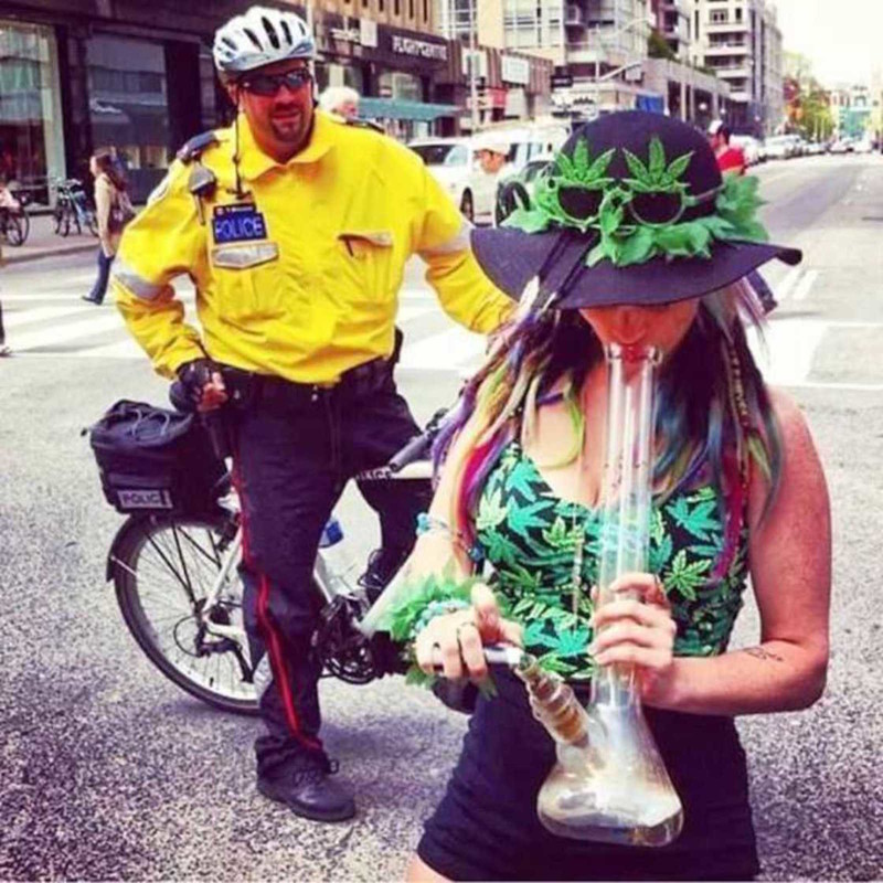 Ну, так, чисто поржать приколы, смешные фото, юмор