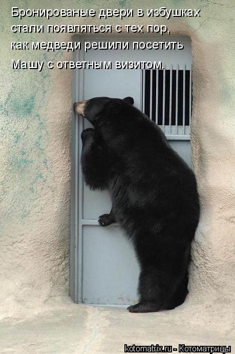 Котоматрица: стали появляться с тех пор, как медведи решили посетить Машу с ответным визитом. Бронированые двери в избушках