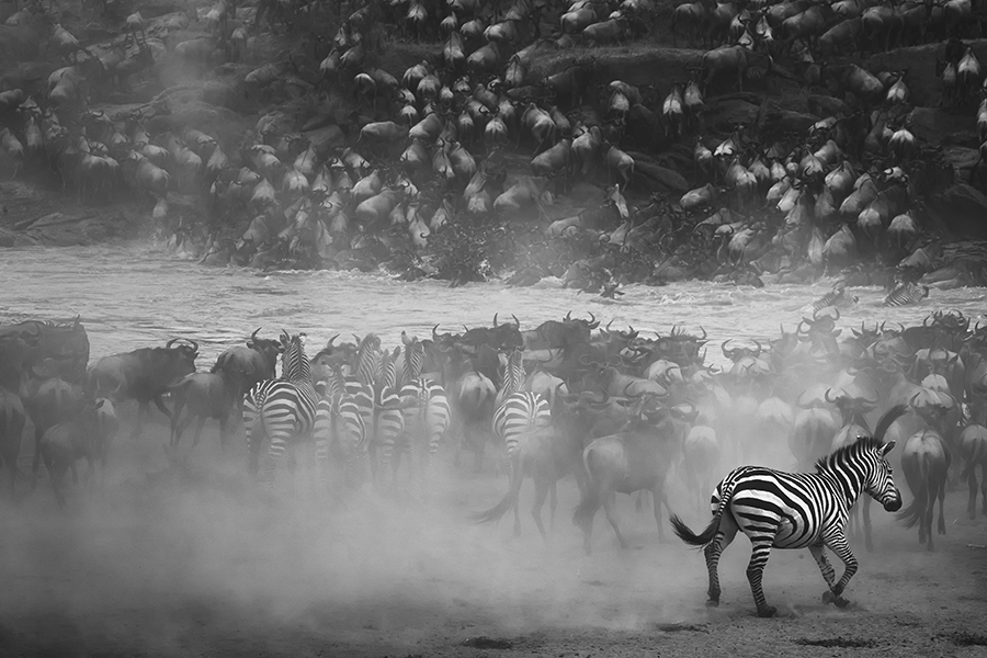 Лучшие черно-белые фотографии 2016 года 