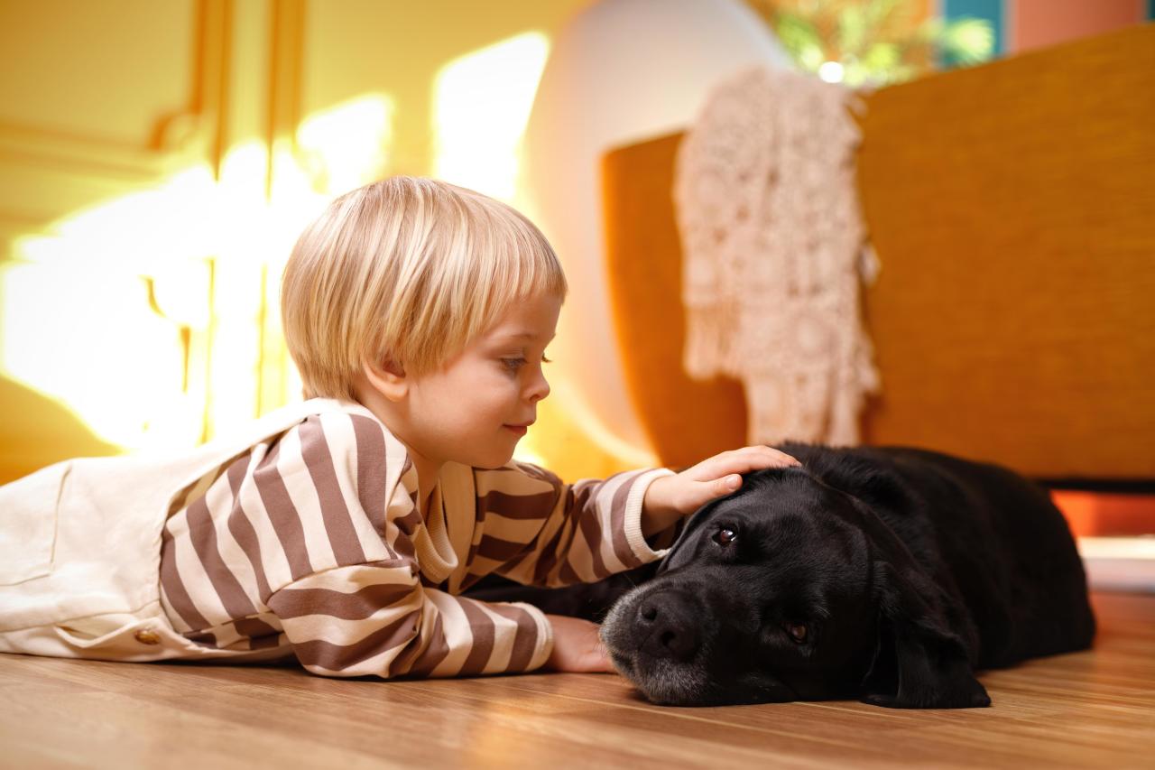 «Он не игрушка»: как объяснить ребенку, что питомца обижать нельзя может, животное, ребенок, питомцем, собака, кошка, когда, стоит, ребенка, играть, питомца, хвост, границы, только, должны, могут, можно, рычит, руками, значит