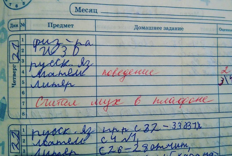 Смешные, смотреть картинки приколы с дневниками