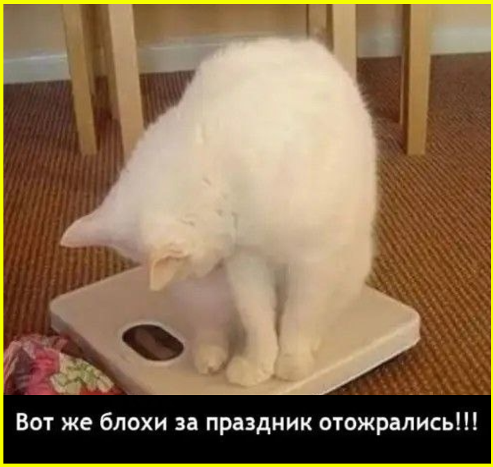 - Чувствуете? Выходными пахнет! 