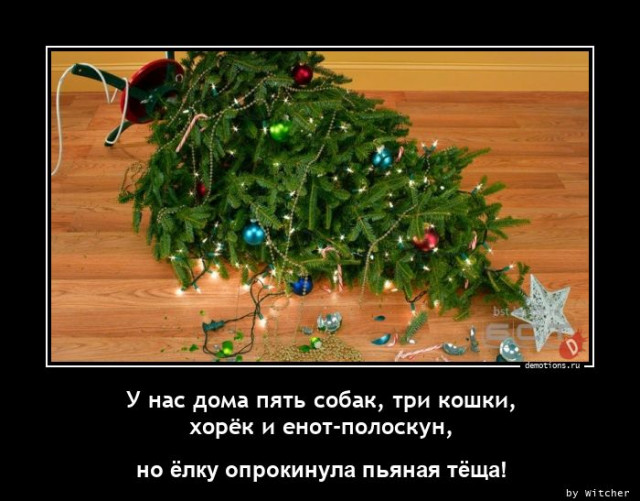 Ежедневная порция прикольных демотиваторов для вашего отличного настроения!