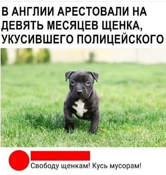 Во времена СССР за хоккей мы были спокойны... Почем, спокойны, Потому, только, Когда, Продавщица, говорит, курицу, сегодня, вопрос, вскакивает, Первый, нетБрюнетка, быстро, брюнетке, поблизости, посмотри, происходит, выбегает, бараБлондинка