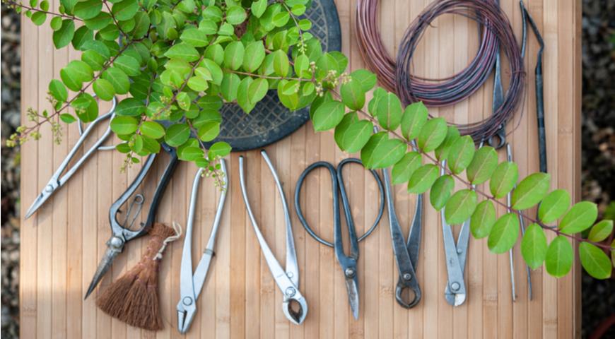 Японские садовые инструменты, почему так популярны у профессионалов и где незаменимы