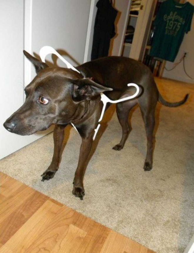 20 неловких моментов, которые повеселили нас 20 неловких моментов, которые повеселили нас отдых