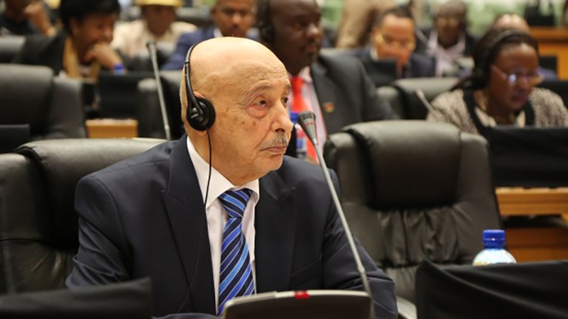 Ливийский парламент сформировал комитет по избирательному законодательству Весь мир