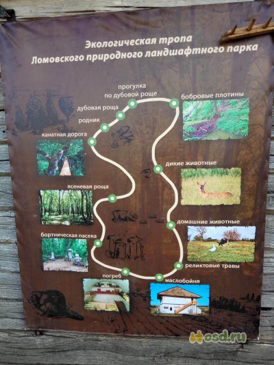 Экотуризм по-русски туризм,экология