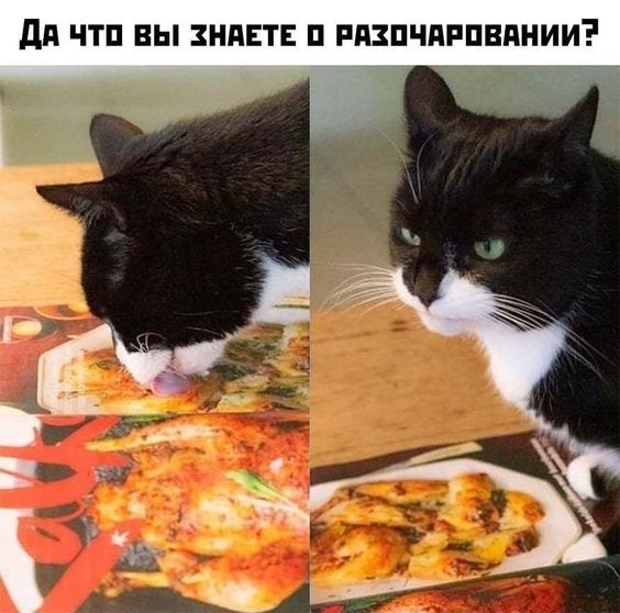 Отменные шуточки Отменные шуточки