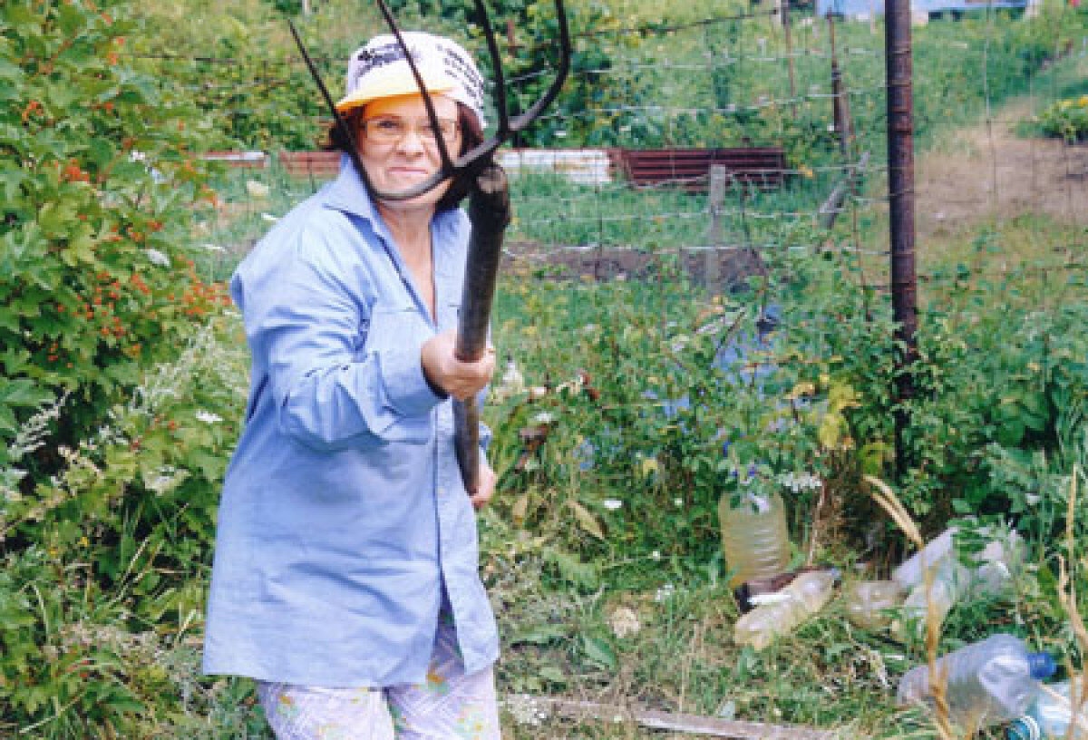 В августе 1989-го к бабушке в огород повадились лазить воришки... 