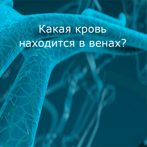 какая кровь находится в венах?