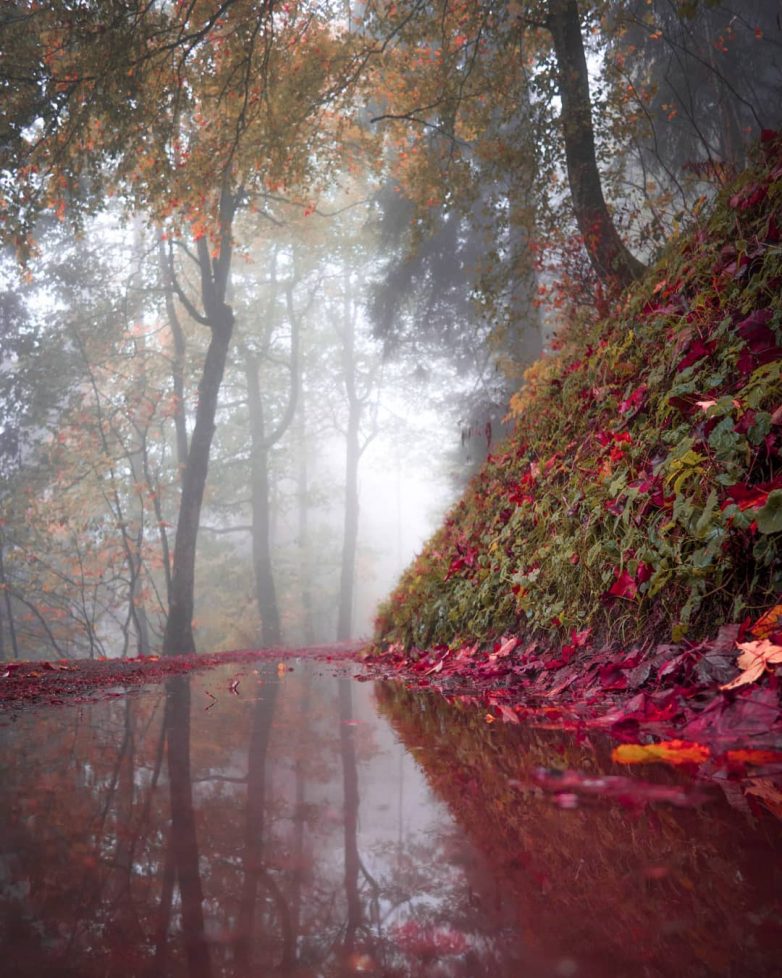 Швейцария, которая поражает с первого взгляда Швейцария, которая поражает с первого взгляда путешествие,Фотография,Швейцария