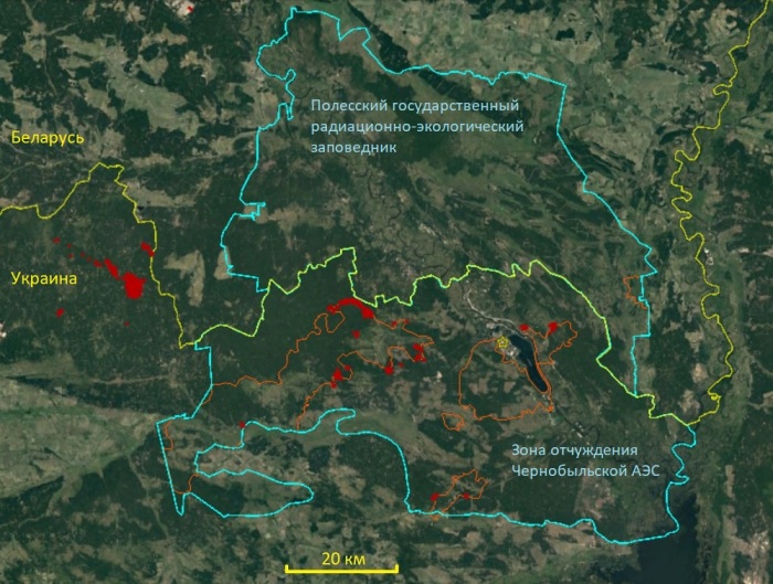  одна из них оказалась на украинской территории, а вторая – на белорусской / Фото: forestforum.ru
