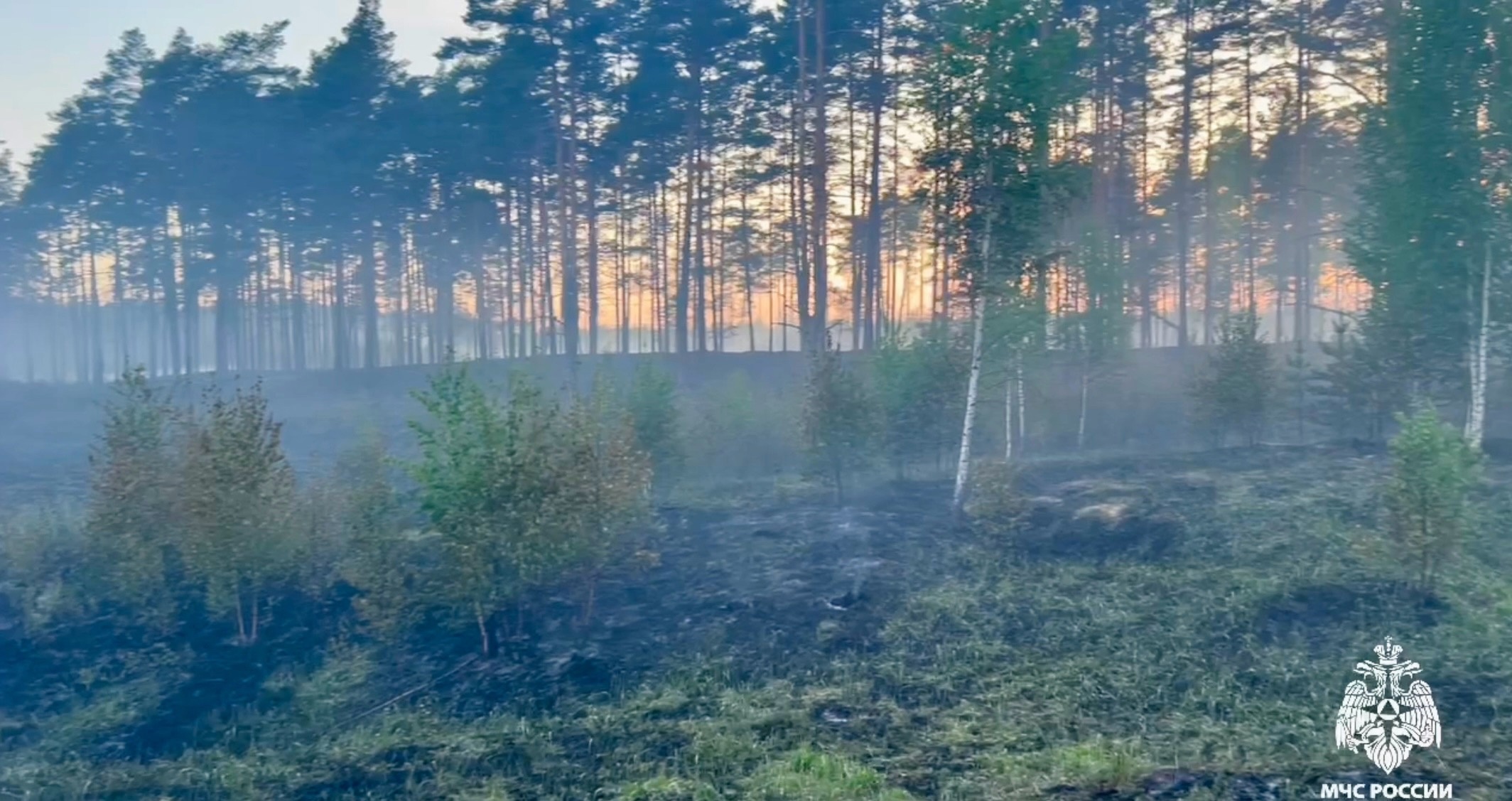 К тушению лесной подстилки в Тверской области привлекли пожарный поезд
