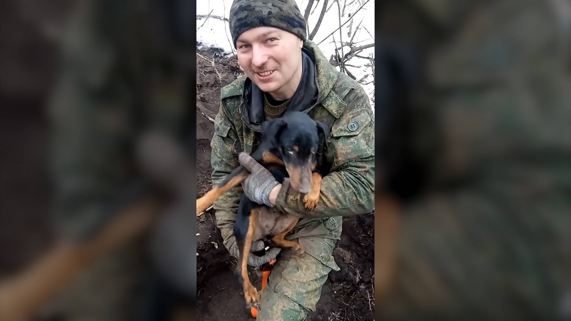 Собака Нора пять дней выживала в барсучьей норе в Курской области