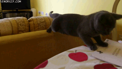 Подборка гифок Подборка гифок смешные картинки