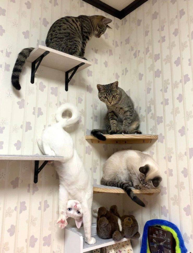 Подборка смешных картинок Подборка смешных картинок приколы,смешные картинки,юмор