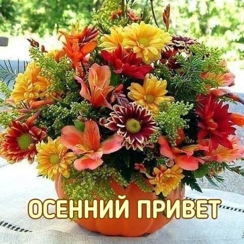 Уголь Борька, почему, соседи, уголь, напоминала, сказал, Марьяна, повели, сооружение, съёжилась, конструкция, Закопченная, танкистами, советскими, неравном, сожженный, связанного, немецкий, подбитый, табличкой