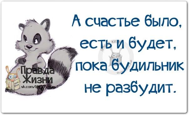 Прикольные картинки с позитивными фразками Прикольные картинки с позитивными фразками