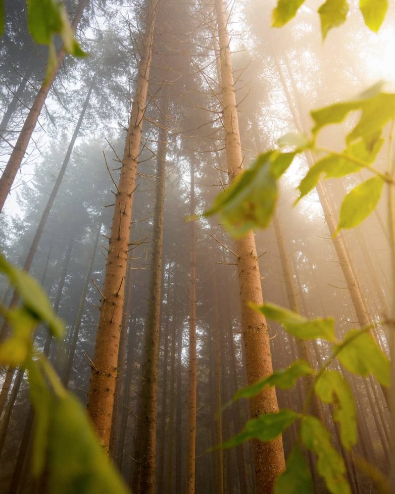 Швейцария, которая поражает с первого взгляда Швейцария, которая поражает с первого взгляда путешествие,Фотография,Швейцария