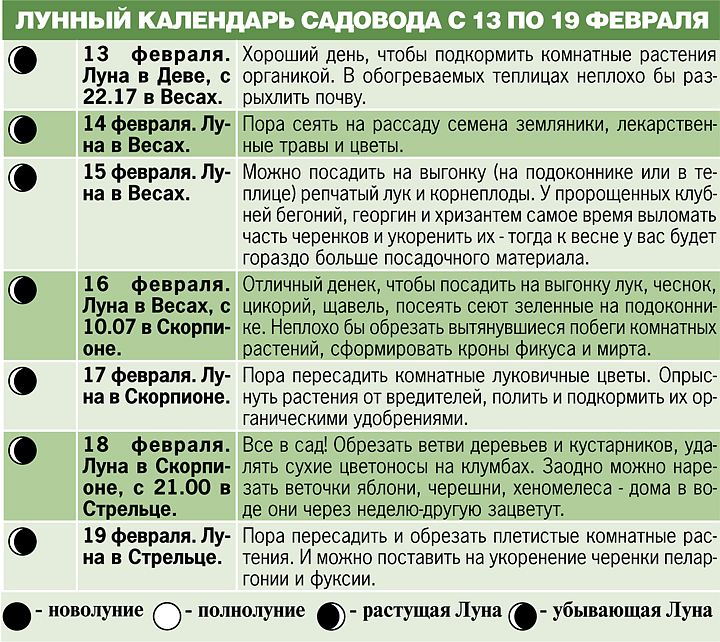 Календарь огородника на октябрь. Календарь садовода на февраль месяц. Лунный календарь садовода на февраль. Какие культуры можно сажать на убывающей Луне. Календарь садовода черешня.