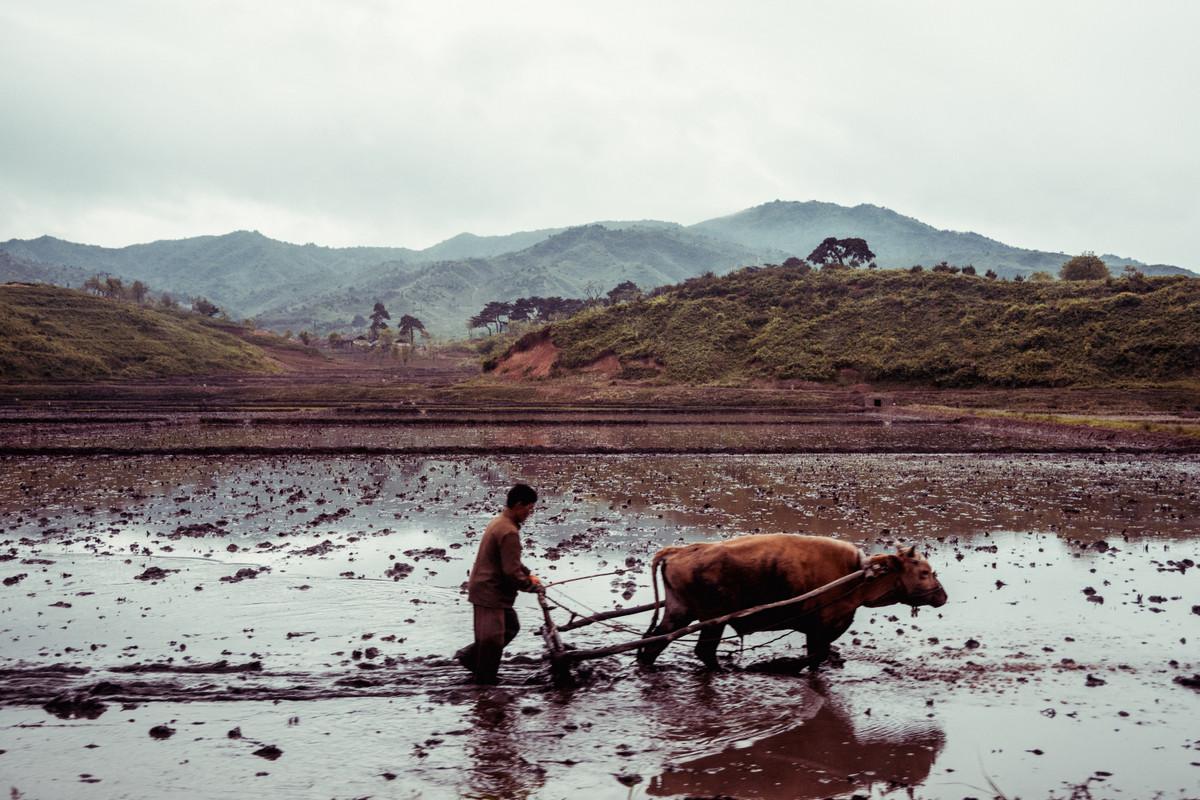 «Чосон» Дениса Давыденко: объективная нереальность из Северной Кореи «Чосон» Дениса Давыденко: объективная нереальность из Северной Кореи