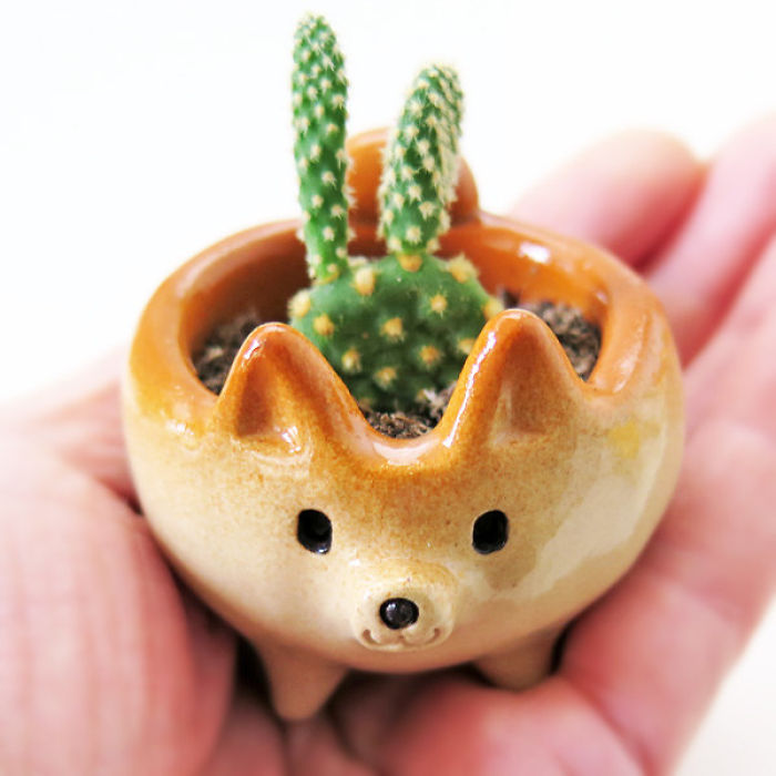 Shiba Inu Flower Pot