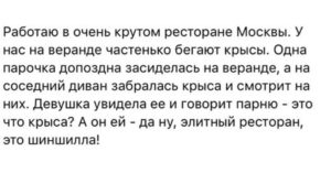 15+ веселых историй для поднятия настроения. Самое лучшее с просторов Сети 