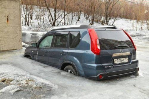 Самые забавные картинки 