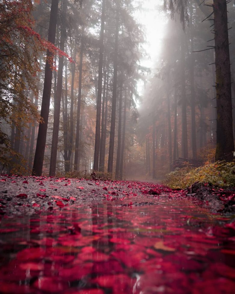 Швейцария, которая поражает с первого взгляда Швейцария, которая поражает с первого взгляда путешествие,Фотография,Швейцария