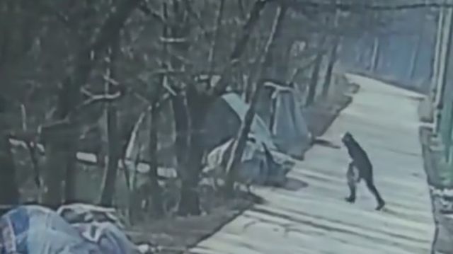 Китаец жестоко отомстил за убитую собаку