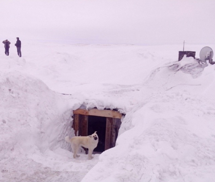 Шойна — село, засыпанное песком Шойна, песок, село