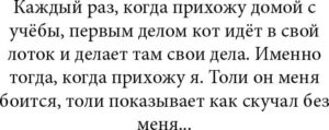 15+ веселых историй для поднятия настроения. Самое лучшее с просторов Сети